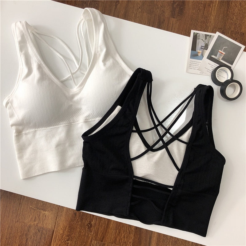 New Beauty Back Sports Bra