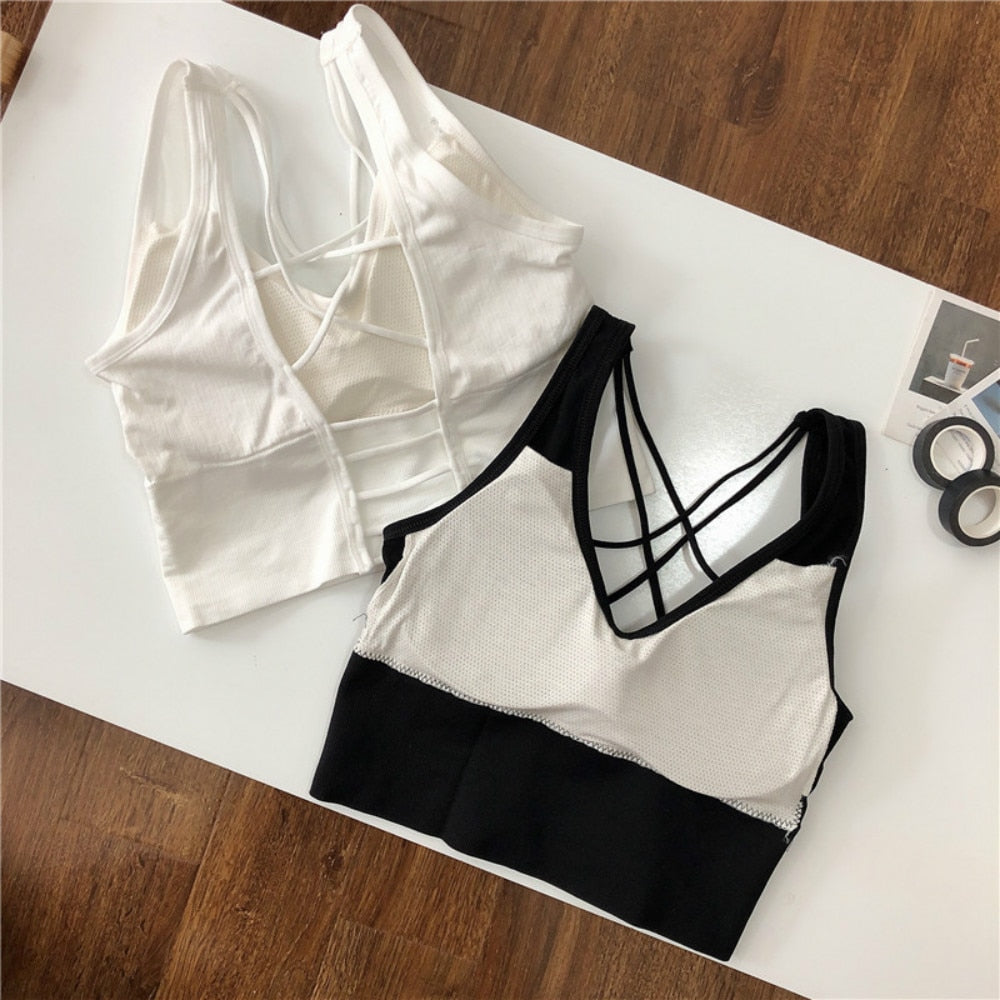 New Beauty Back Sports Bra