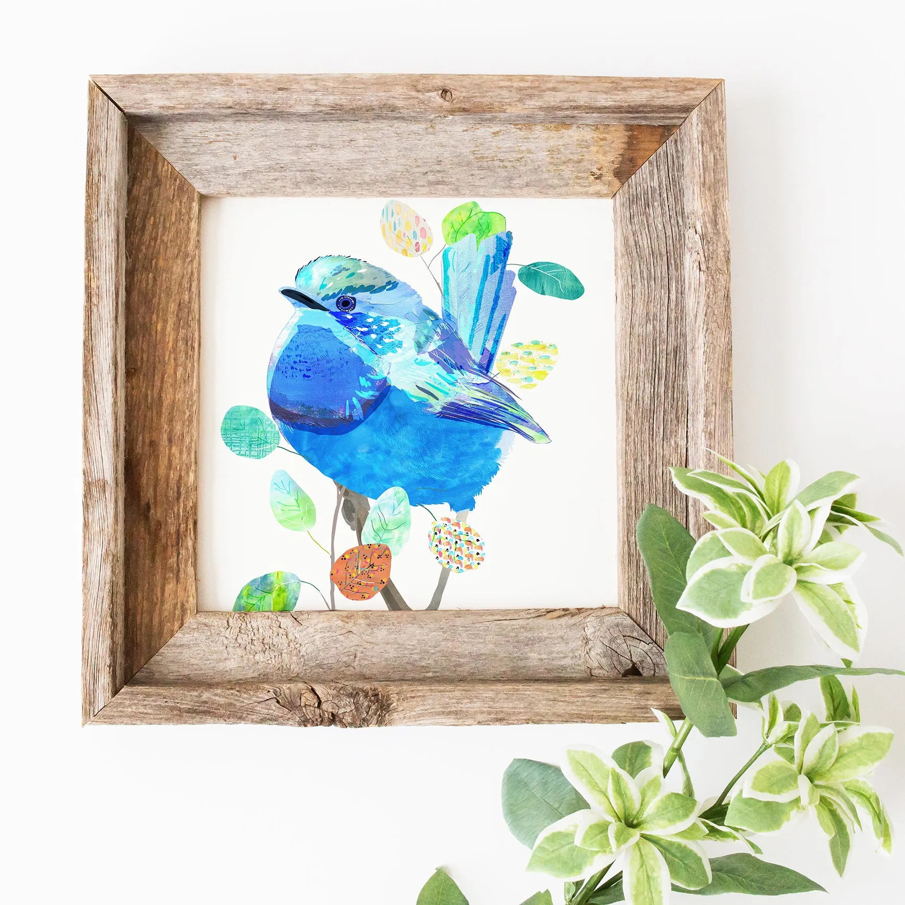 Splendid Fairy-Wren Art Print