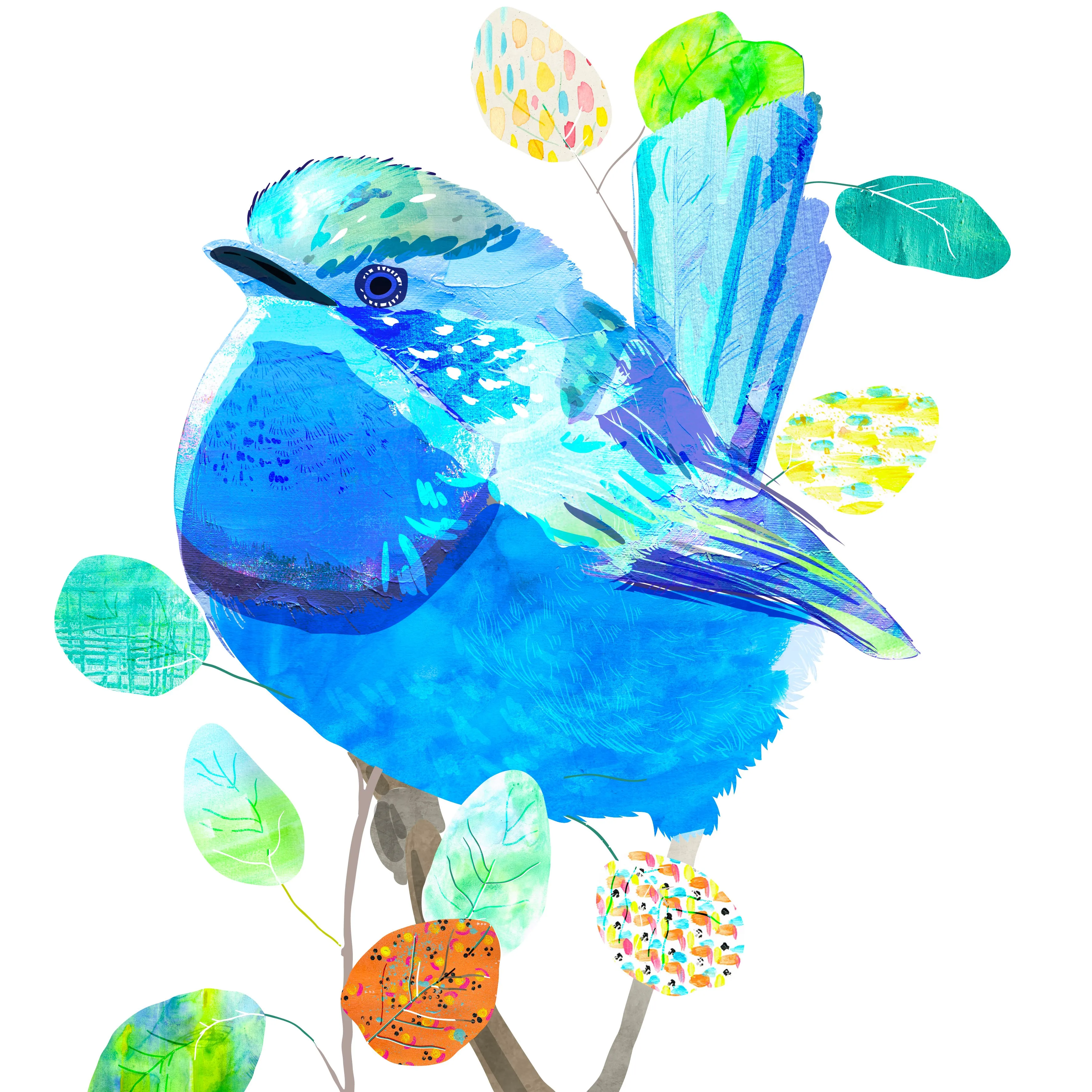 Splendid Fairy-Wren Art Print