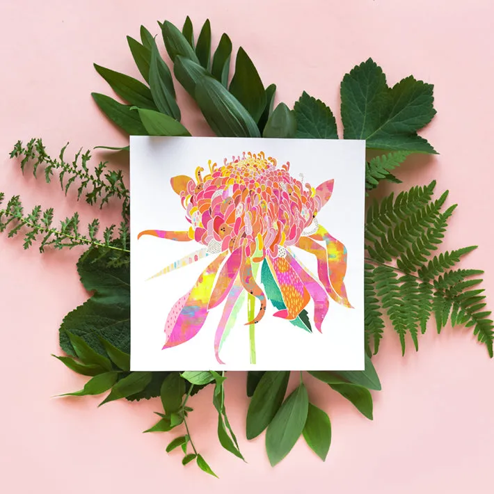 Waratah Art Print