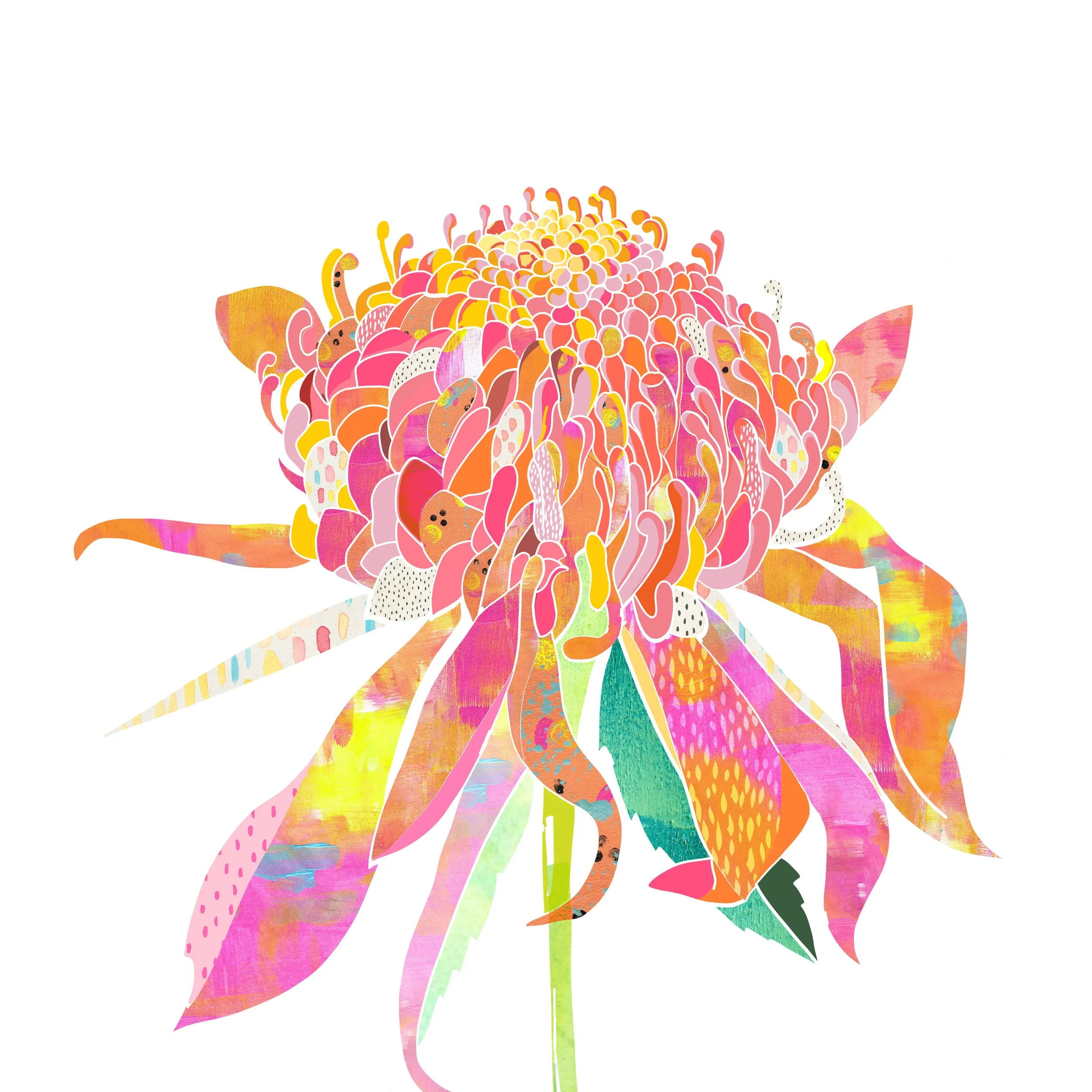 Waratah Art Print